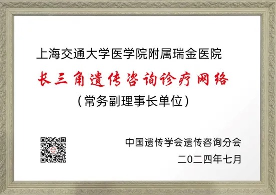 240803长三角1.jpeg