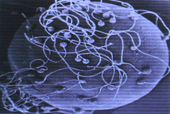 20160721d.png